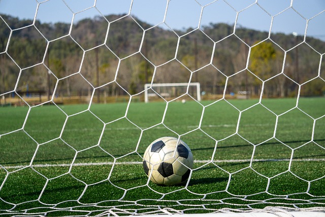 的成功案例 的成功案例