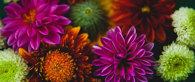 过不懈努力 过不懈努力