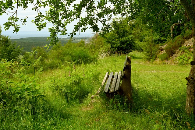 过往对决 过往对决