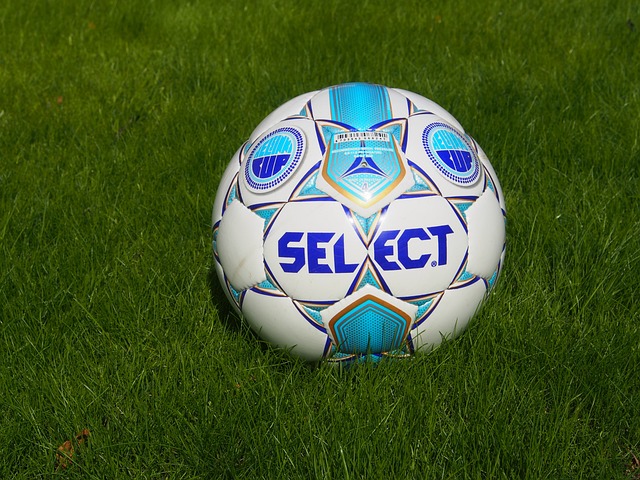 的大比分輕 的大比分輕