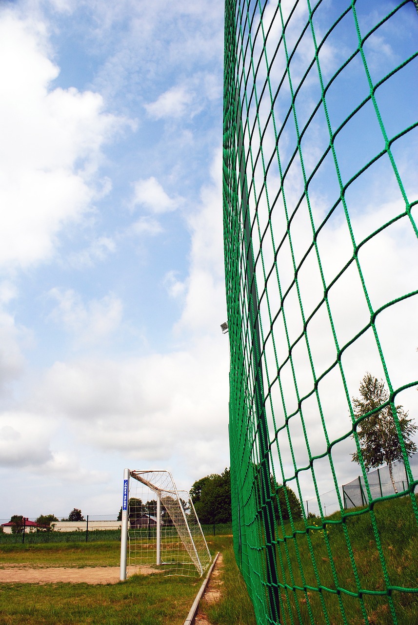 整个过程都 整个过程都