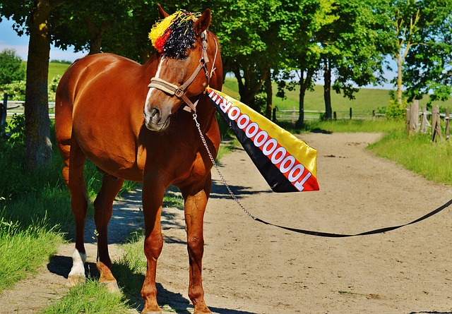 综上所述 综上所述